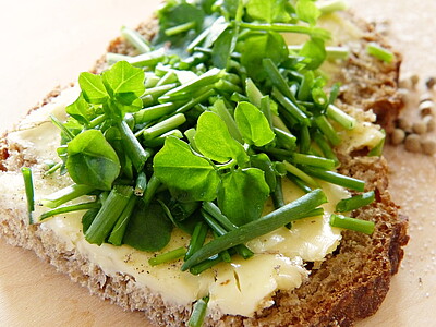 Brunnenkresse als gesundes Topping am Butterbrot