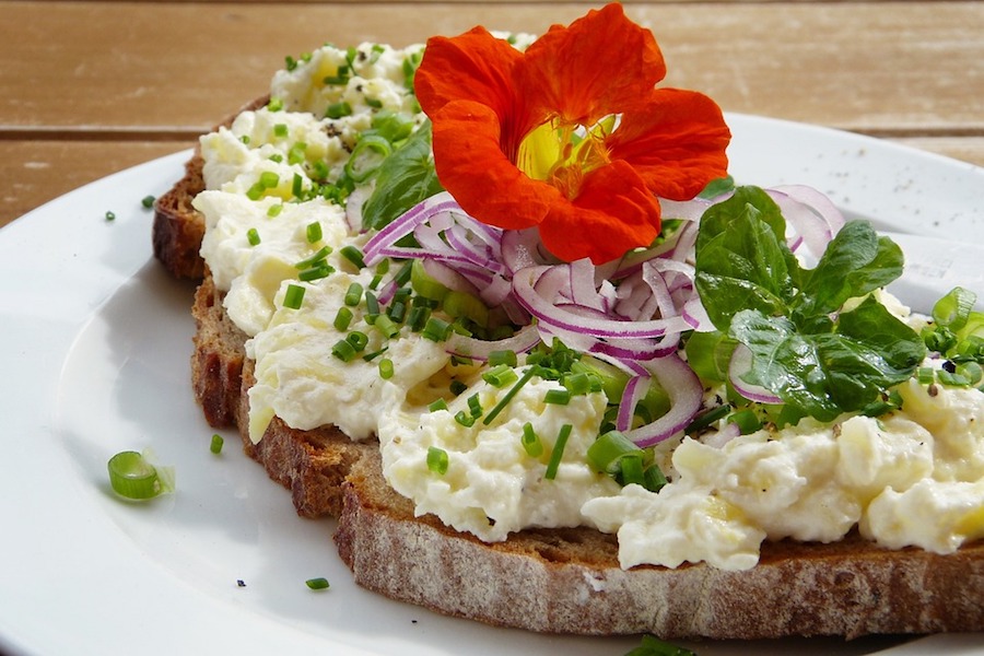 Brot mit Topfen und Kräutern